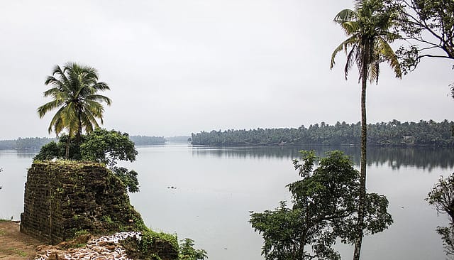 In Search of Muziris