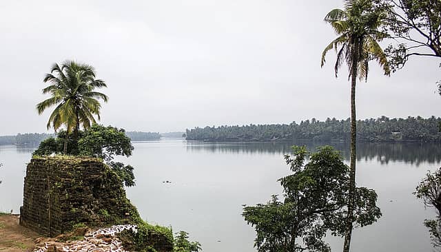 In Search of Muziris