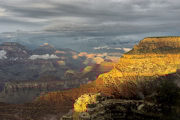 Such A Savage Beauty