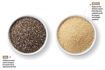 Foreign Superfoods: The Global Gut