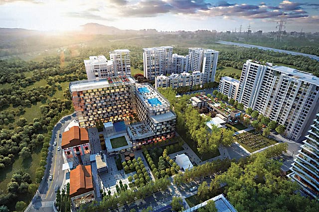 Real Estate: The Trees