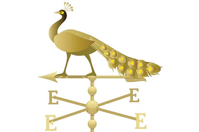 Who Will Shape the Asian Century?