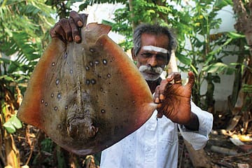 Daddy Cool As Culinary Legend