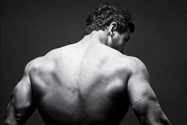 Movie Review: Force 2