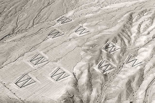 Baptist Coelho: Strokes of Conflict