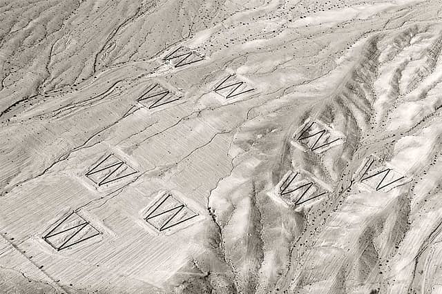 Baptist Coelho: Strokes of Conflict