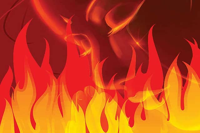 Found in Translation