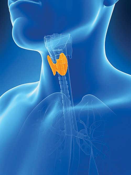 The Unbearable Weightiness of Being