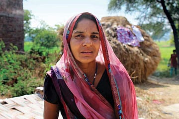 A Cry in the Wilderness