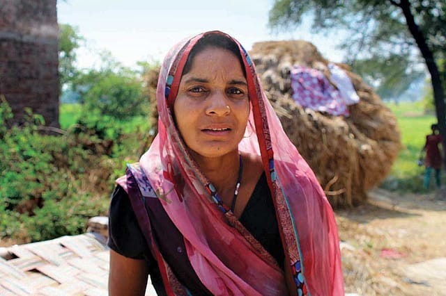 A Cry in the Wilderness