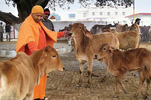 Yogi Adityanath: Uses of the Ascetic Yogi Adityanath: Uses of the Ascetic