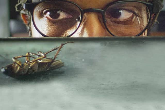 Movie Review: Trapped