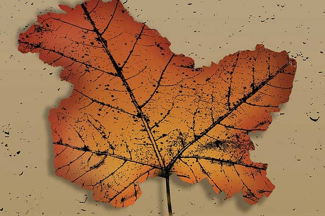 Who Lost Kashmir?