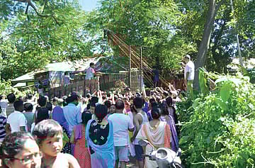 Catching a Tiger by Its Tail