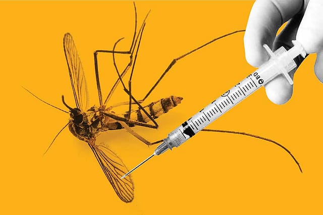 A JNU Vaccine for Dengue