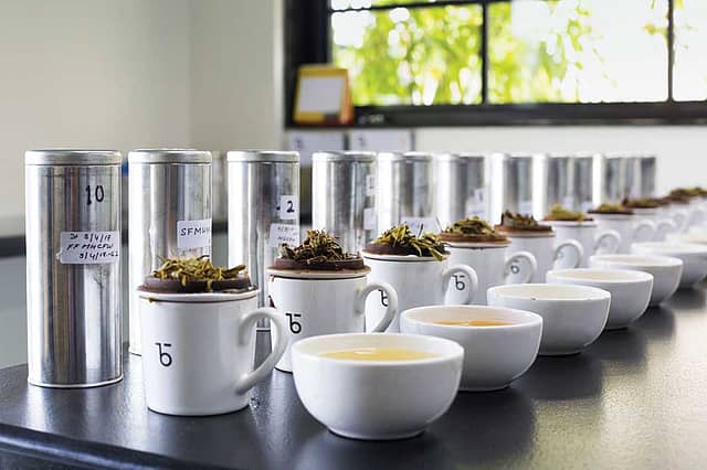 Darjeeling Tea: A Second Flush