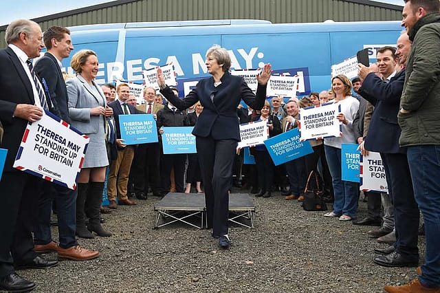 May Be a Wounded Lion