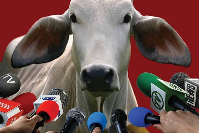What’s at Steak?: The Constitutional Cost of Beef Ban