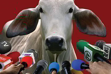 What’s at Steak?: The Constitutional Cost of Beef Ban