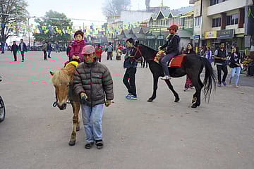 The Legend of the Hills