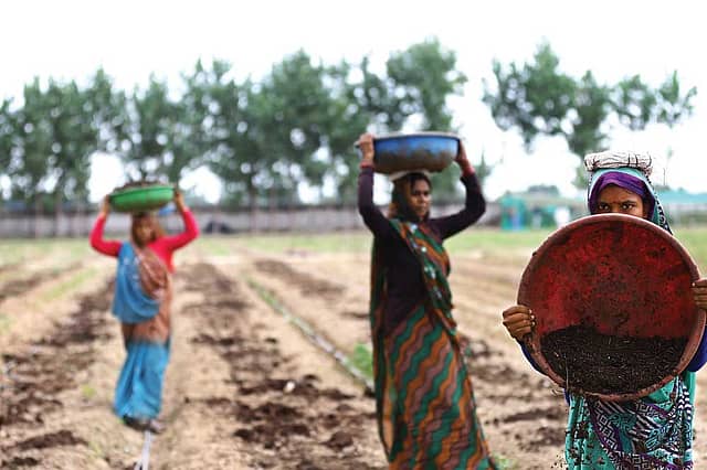 Biodynamic Farming Takes Root in India