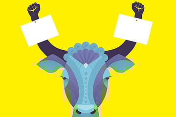 An Academic Twist to Animal Welfare