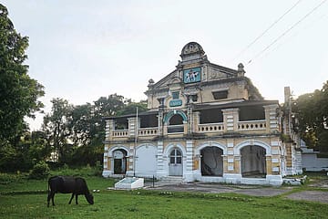 The Last Animal Farm