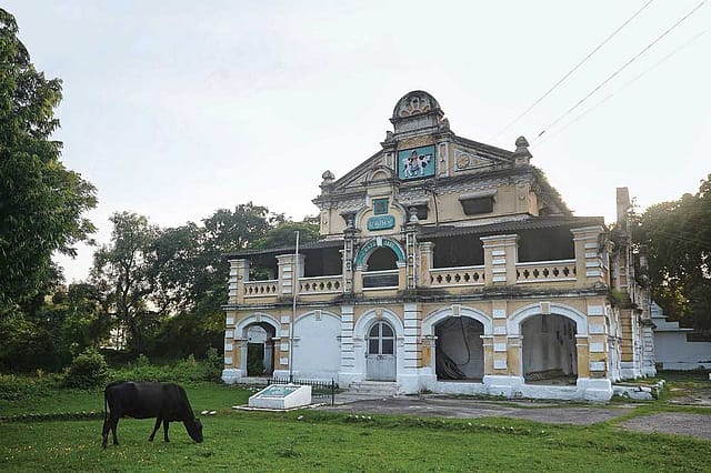 The Last Animal Farm