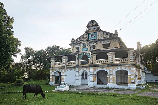 The Last Animal Farm