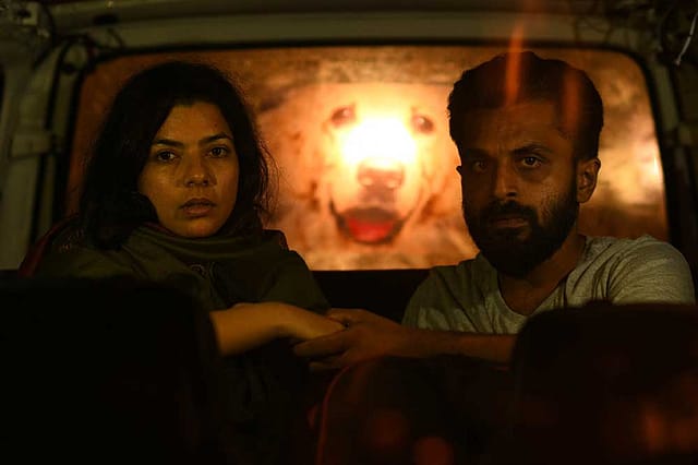 In the Name of Cinema