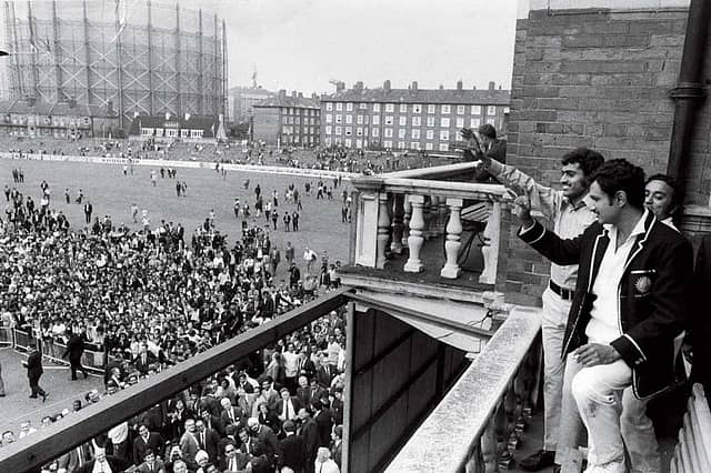 The Self Portrait of a Cricket Fan