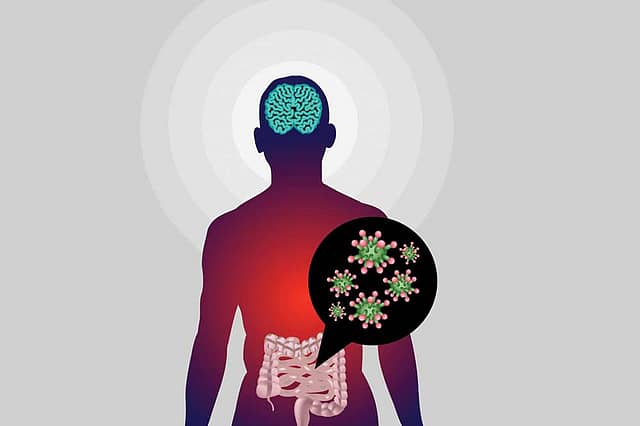 What Does the Indian Gut Reveal About Indians?