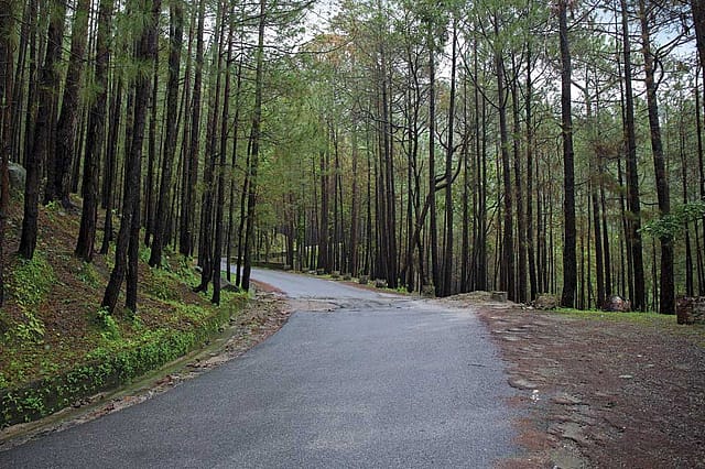 Exploring the Unexplored