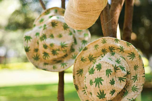 Hemp: A Different High