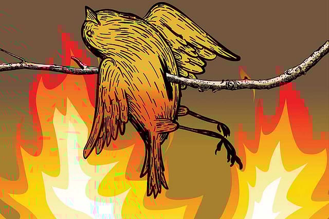 Have You Burnt Your Mouth?