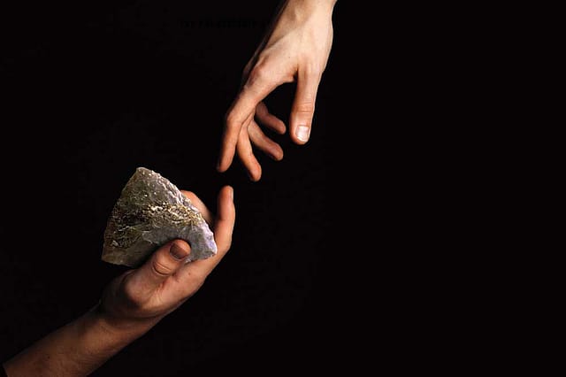 Human Evolution: Written in Stone Human Evolution: Written in Stone