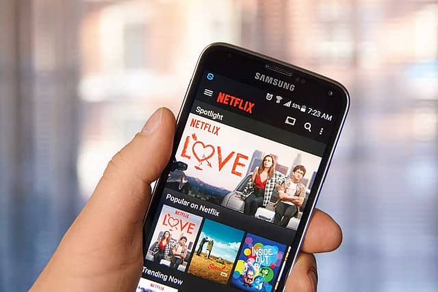 What Homebodies Watch: Net Fix