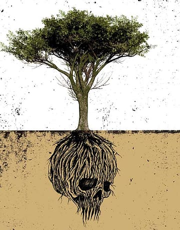 India’s Most Hated Tree