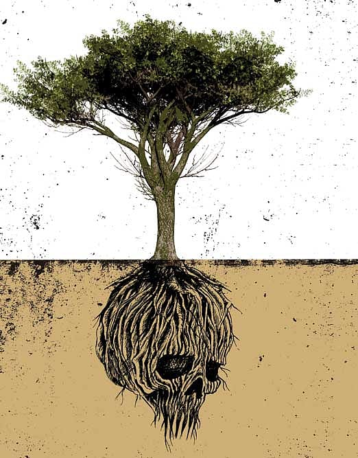 India’s Most Hated Tree