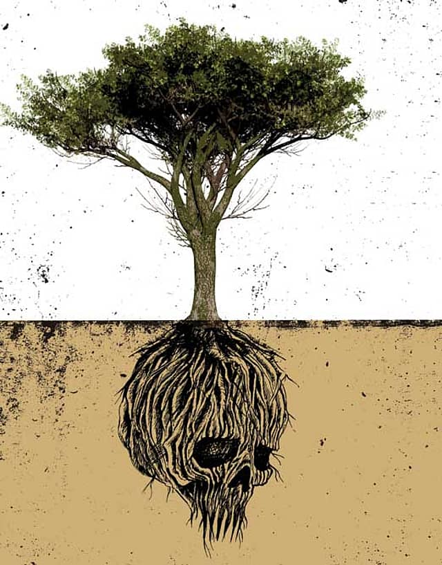 India’s Most Hated Tree