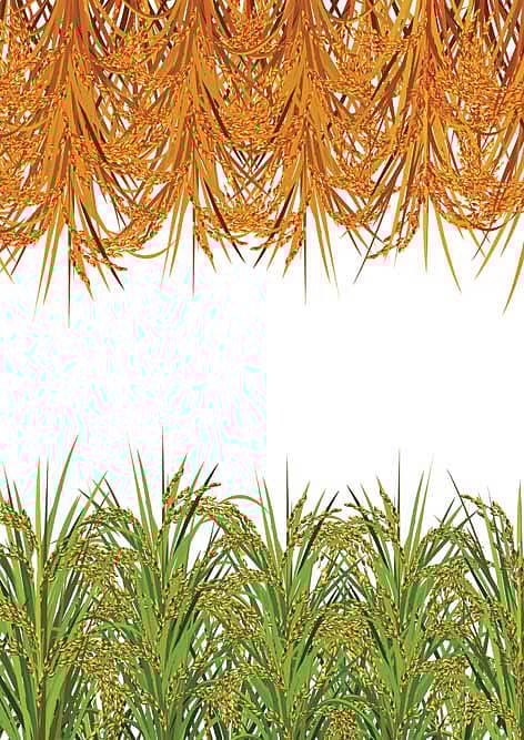 New Grain Theory