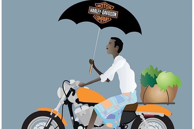 Harley’s Angels Lite