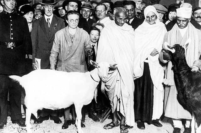 The Man and the Mahatma