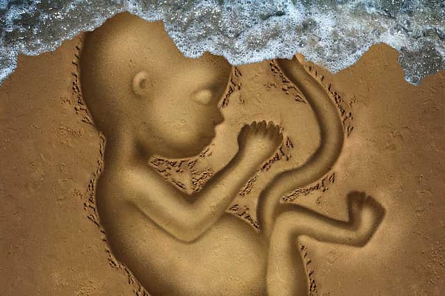 The Aborted Clause