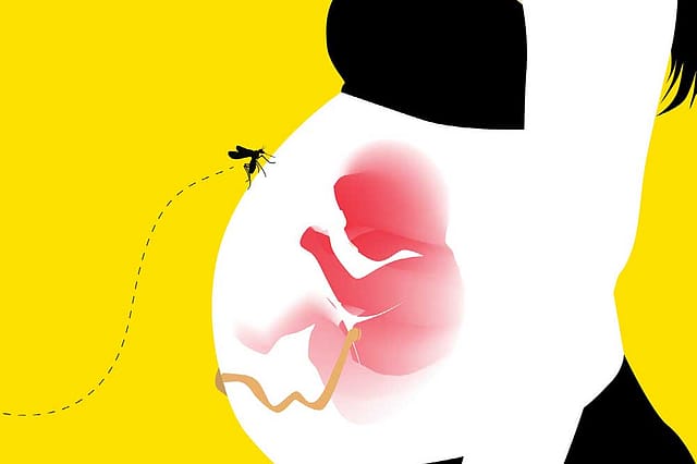 Mystery of the Zika Virus