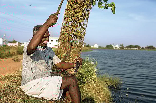 Cho Dharman: Alone in Shadowland