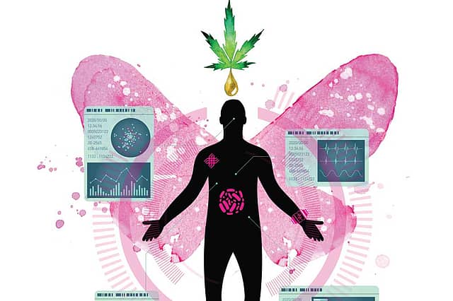 Leadership: Endurance is the new intelligence 