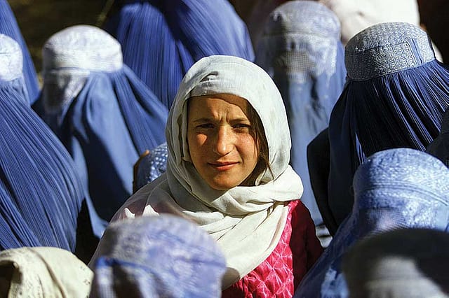 Masculine Feminine Masculine Feminine