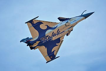 A Defenceless Democracy