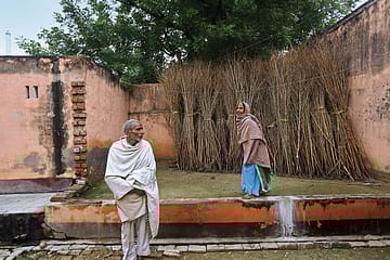 Caste, Cows and the Countryside